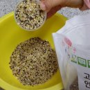 산들바람작목반 영농조합법인 이미지