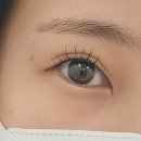 퀸브로우 눈썹앤속눈썹 네이버블로그