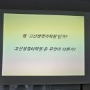 고선생영어학원