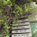 갈현농장 | 성남 꽃집 플라워밸리