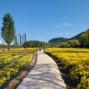 태화강국가정원 이미지