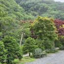 강물소리펜션 이미지