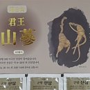 서금상사 네이버블로그