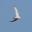 늘,그곳 이미지