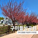 구미개인정비 | 구미 겹벚꽃 명소 들성공원 문성지 산책하며 아이랑 가볼만한곳 후기