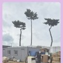 수현상사 이미지