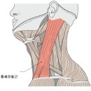 신성한의원 이미지