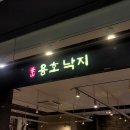 부산 신세계백화점 맛집, 낙곱새 내돈내산 후기 &#39;용호동낙지 신세계센텀시티점&#39;