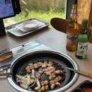 숲속애 휴가 | 청주 숲속애 후기(바베큐/물놀이장)