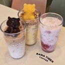 한국체대 호랑이 이미지