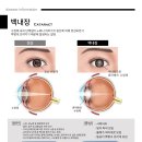 원광한의원 이미지