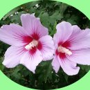 장수공원 이미지