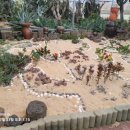 서부농업기술센터 이미지