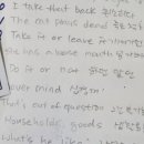 리쉬이야기 네이버블로그