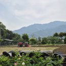 상조농장 이미지