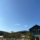 오독오독 반려견유치원 이미지