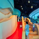 큐리오시티 | 🇸🇬 싱가포르 만다이동물원 큐리오시티 코브 입장권 구매 꿀팁 후기