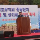 삼산초등학교 이미지