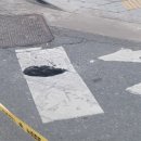 서울신명초등학교 이미지