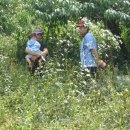 이정자농원 이미지