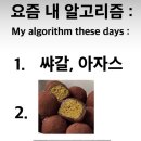바이노마드