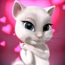 롱톨샐리피자 | C6