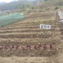 냉천농장 이미지