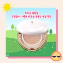 세인트프랑 톤업쿠션 여름에 쓰기 좋은 스킨트리트먼트 톤업 피치 팩트 추천