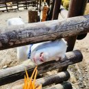 해월농장 이미지