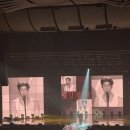 태양메리야스