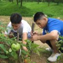 은총농장 이미지