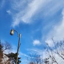 척추자세교정걷기테라피 이미지