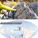 망치를 든 고생물학자의 공룡이야기 | 살아있는 한반도 - 생명의 땅 (한겨레 연재)