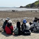 2024- 생태체험 학습자원활동가 심화과정 | 인천광역시교육청 바다학교 생태전환교육프로그램