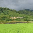 영숙농장 이미지