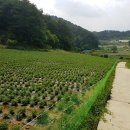 귀산공인중개사사무소 이미지