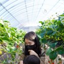 또,봄이네 이미지