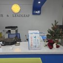 리프어학원 이미지