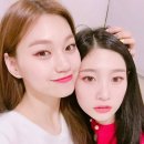 조아요