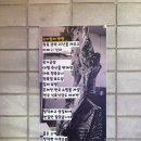 암소와꽃돼지