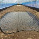 월학농장 이미지