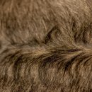 멍멍식객 이미지