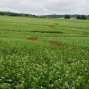 지상길농장 이미지