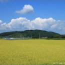 지리산그린영농조합운봉주조 이미지