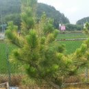 한길농원 이미지