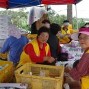 세류2리 이미지