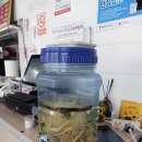 장수삼계탕 코다리 이미지