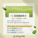 (주)영재서산사업소 | 四字成語 총정리 <ㄴ> 236 능려웅건~능마강소