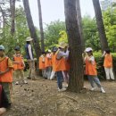 율목초등학교 이미지