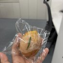에코버드투어 | [5.18~5.24] 공짜 좋아하면 대머리 된다던데, 난 이미 대머리 됐을지도